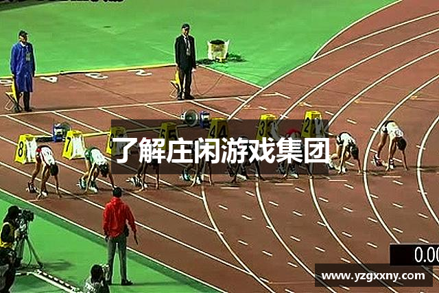 了解庄闲游戏集团